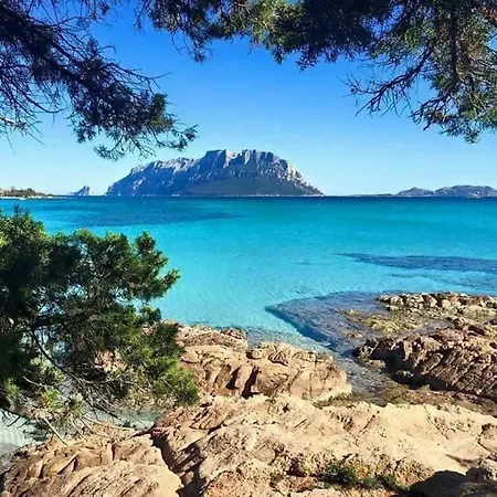 A Schiera Siniscola