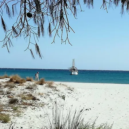 A Schiera